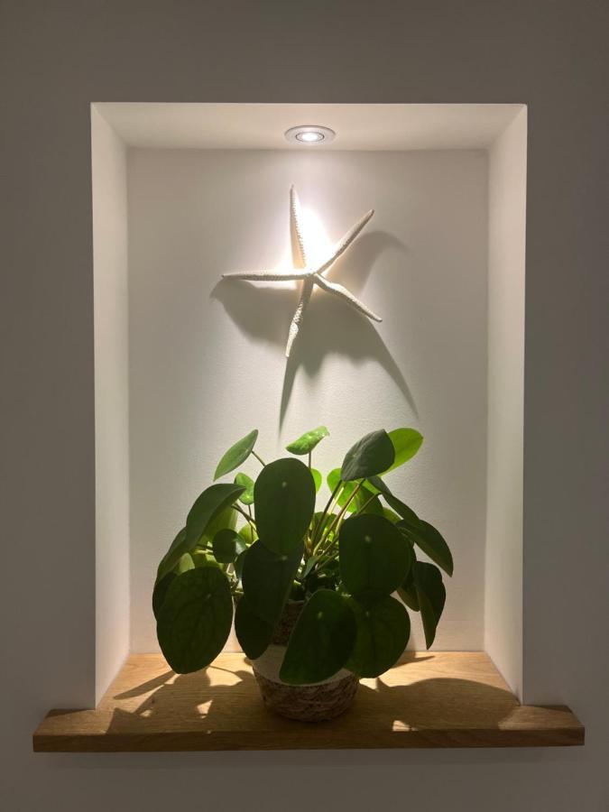 Appartement Van Der Zee 잔드보르트 외부 사진