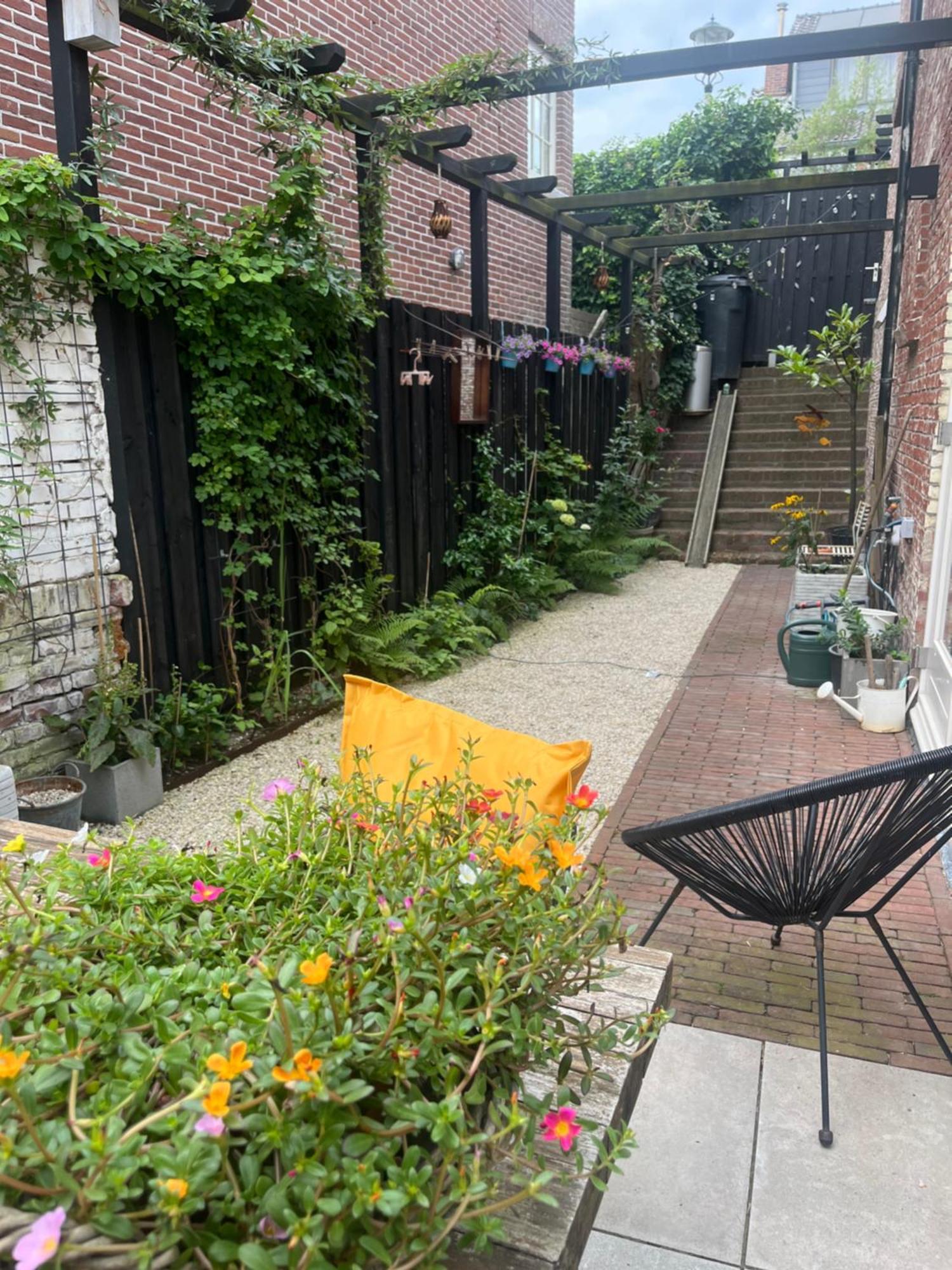 Appartement Van Der Zee 잔드보르트 외부 사진